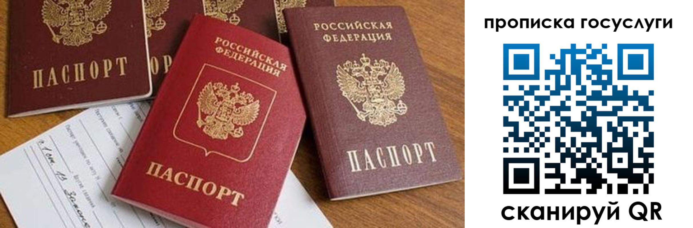 прописка ребенка в Бийске